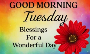 Good Morning Tuesday Blessings